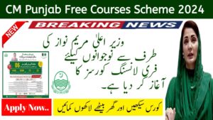 CM Punjab Free IT Courses Scheme 2024